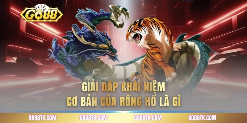 Giải đáp khái niệm cơ bản của rồng hổ là gì